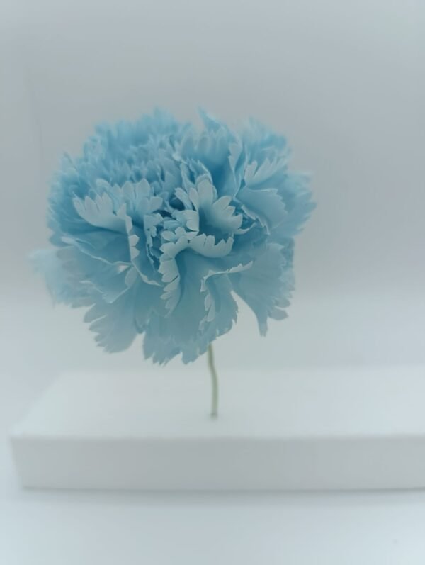 flor celeste