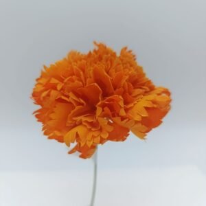 flor